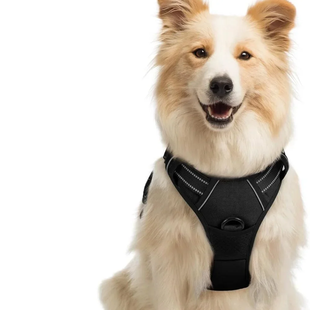 Rabbitgoo Dog Harness No Pull with 2 Leash Clips, Medium, NEW
